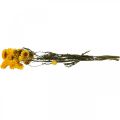 Floristik24 Tørket blomst Gul stråblomst Helichrysum tørr dekorasjonsbunt 50cm 45g