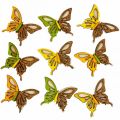 Floristik24 Spred dekorasjon sommerfugler tre grønn/gul/oransje 3×4cm 24p