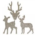 Floristik24 Scatter dekorasjon Jule hjort dekorasjon gull glitter 6×8cm 24p
