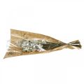 Floristik24 Acroclinium White, tørre planter, Helichrysum, tørre blomster L20–40cm 25g
