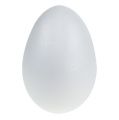 Floristik24 Styrofoam egg 15cm 5stk