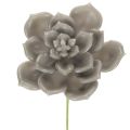 Floristik24 Kunstig sukkulent voks kunstig plante med ståltråd 8 cm 8 stk