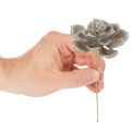 Kunstig sukkulent voks kunstig plante med ståltråd 8 cm 8 stk | Floristik24.no