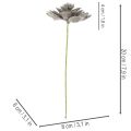 Kunstig sukkulent voks kunstig plante med ståltråd 8 cm 8 stk | Floristik24.no