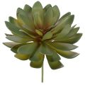 Floristik24 Kunstig sukkulent som dekorativ plante, grønn, 18 cm, 3 stk.