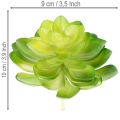 Kunstig sukkulent, grønn, til dekorasjon i bolle eller vase, 10 cm, 4 stk. | Floristik24.no