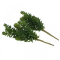 Floristik24 Sukkulent kunstig grønn plante til stick 25cm grønn 2stk