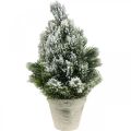 Floristik24 Mini juletre i potte kunstig snødd Ø18cm H32cm