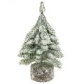 Floristik24 Juletre med snø, julepynt, dekorativ gran H14cm