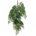 Floristik24 Kunstig sypressgren grønn for å henge opp fra 5 dekorative grener på 75cm