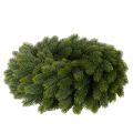Kunstig grangrenkrans, grønn, rund, 50 cm | Floristik24.no