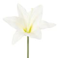 Floristik24 Kunstige hvite tigerliljeblomster til vaser og arrangementer, 29 cm bukett med 6 stk.