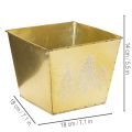 Metallplantekasse med glitrende grantremotiv, 18 cm | Floristik24.no