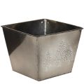 Floristik24 Firkantet metallplantekasse med grantremotiv, 18 cm