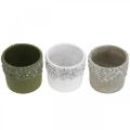 Floristik24 Keramikkkar, blomsterpotte med eikedekor, plantepotte grønn / hvit / grå Ø13cm H11,5cm sett med 3