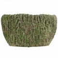 Floristik24 Plantekasse betong oval antikk utseende grønn, brun 24×14×13cm