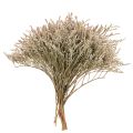Floristik24 Tørkede blomster strand lavendelbukett Statice natur 1kg