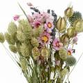 Floristik24 Villgressbukett med stråblomster tørre blomster 70g