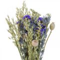 Floristik24 Bukett tørkede blomster Bukett engblomster blå H50cm 100g