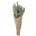 Floristik24 Bukett tørkede blomster Bukett engblomster blå H50cm 100g