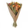 Floristik24 Bukett tørkede blomster Bukett engblomster Orange H50cm 300g