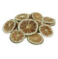 Floristik24 Limeskiver grønne 500g limeskiver
