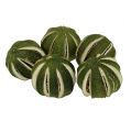 Floristik24 Hele grønne lime 500 g
