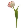 Floristik24 Tulipanrosa, grønn 37cm 6stk