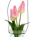 Floristik24 Tulipan i en glassrosa H22.5cm 1p