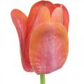 Floristik24 Tulipan kunstblomst rød, oransje Kunstig vårblomst H67cm