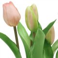 Floristik24 Tulipan rosa, grønn i potte Kunstig potteplante dekorativ tulipan H23cm