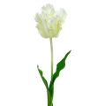 Floristik24 Kunstig hvit tulipan 70cm