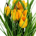 Floristik24 Tulipaner i gul potte 30cm