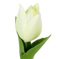Floristik24 Vårpynt, kunstige tulipaner, silkeblomster, dekorative tulipaner grønn/krem 12 stk.
