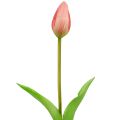 Floristik24 Tulipan krage rosa ekte touch