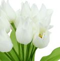 Floristik24 Tulipanskrå hvit 30cm