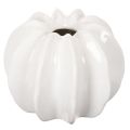 Floristik24 Gresskarpyntvase, blank, høstdekorasjon til stue, 19 cm