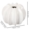 Gresskarpyntvase, blank, høstdekorasjon til stue, 19 cm | Floristik24.no