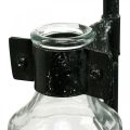 Floristik24 Dekorativ vase dekorativ flaskeglass med metallstativ svart Ø13cm