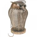 Floristik24 Vintage Lantern Owl Hage Lanterne Telysholder Gull H29cm