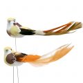 Floristik24 Bird on wire brun / oransje 14cm 12stk