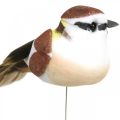 Floristik24 Vårpynt, fugler på ledning, kunstig fugl brun, hvit H3cm 12stk