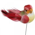 Floristik24 Fjær, fugl på ledning, fargerike blomsterplugger H2,5cm 24stk
