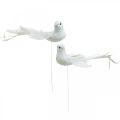 Floristik24 Hvite duer, bryllup, pynteduer, fugler på wire H6cm 6stk