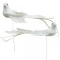 Floristik24 Hvite duer, bryllup, pynteduer, fugler på wire H6cm 6stk