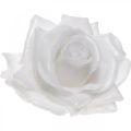 Floristik24 Voks rose hvit Ø10cm Vokset kunstig blomst 6stk
