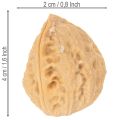 Valnøtter til pynt, naturprodukt, 3-4 cm, 300 g | Floristik24.no