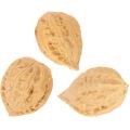 Valnøtter til pynt, naturprodukt, 3-4 cm, 300 g | Floristik24.no