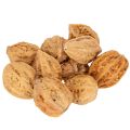Floristik24 Valnøtter, et naturprodukt for borddekorasjon og gjør-det-selv-prosjekter. Naturlige valnøtter, 4-5 cm, 300 g.