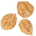 Valnøtter, et naturprodukt for borddekorasjon og gjør-det-selv-prosjekter. Naturlige valnøtter, 4-5 cm, 300 g. | Floristik24.no